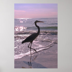 Heron on a Stroll Poster
