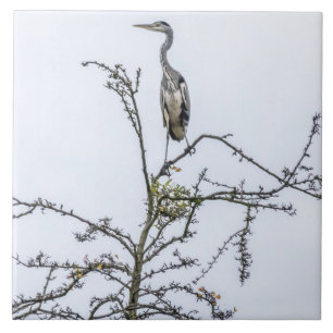 Heron on a tree ceramic tile