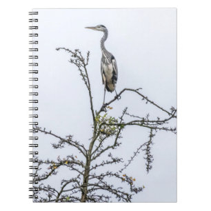 Heron on a tree notebook