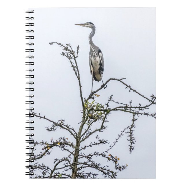 Heron on a tree notebook (Front)