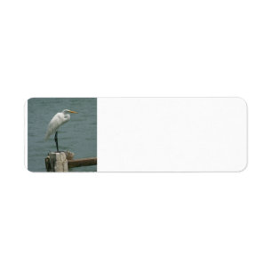 Heron on Piling Return Address Label