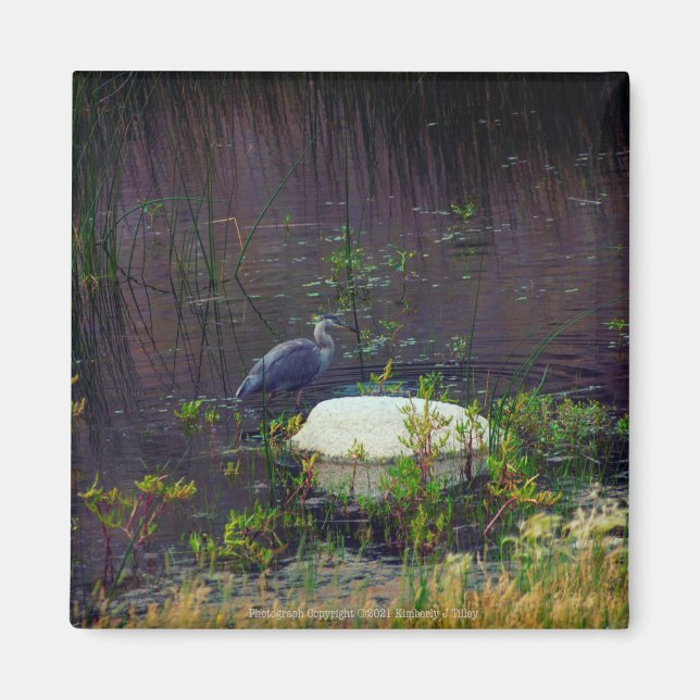 Heron P9687 Magnet (Front)