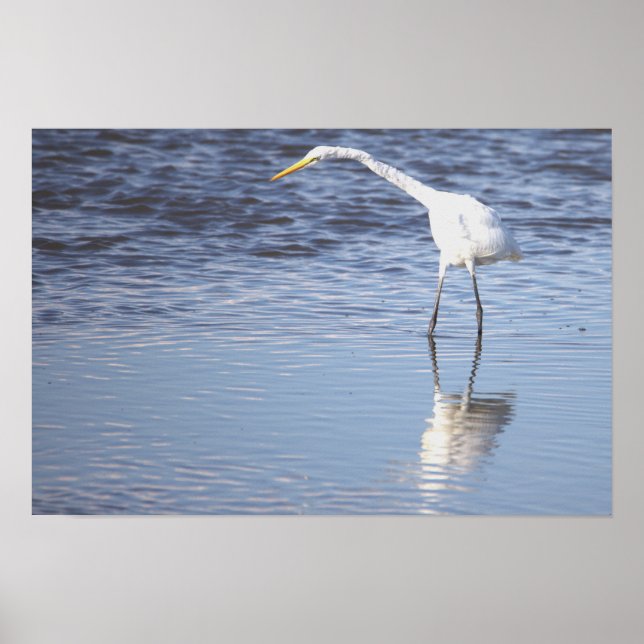 Heron Photo Poster (Front)