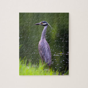Heron Puzzle