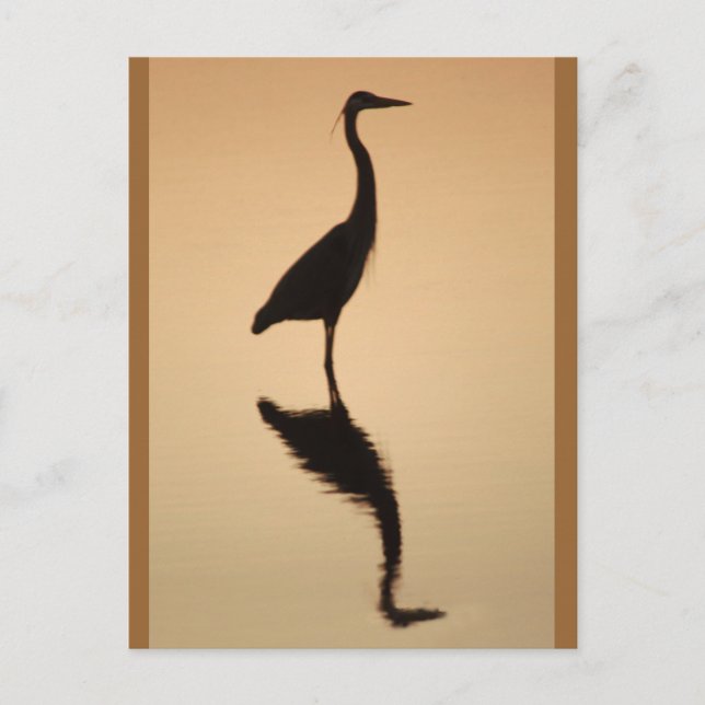 Heron Silhouette Postcard (Front)
