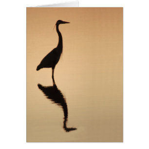 Heron Silouette
