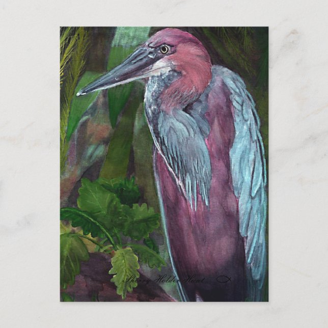 Heron Standing Alone 2 Postcard (Front)