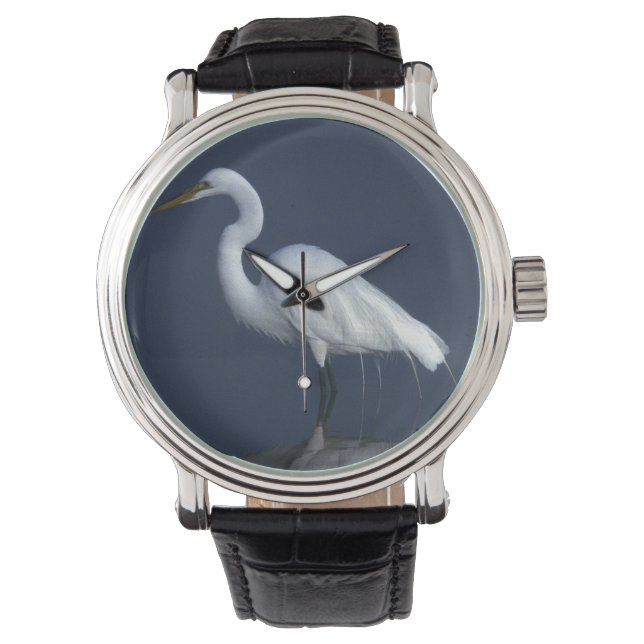 Heron Watch (Front)