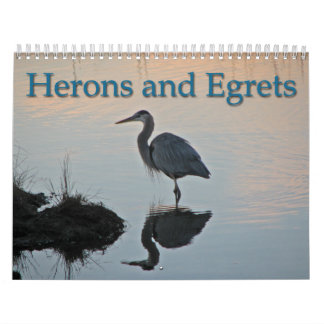 Herons and Egrets Calendar