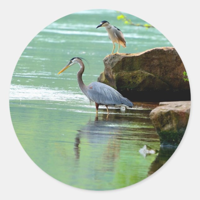 Herons Classic Round Sticker (Front)