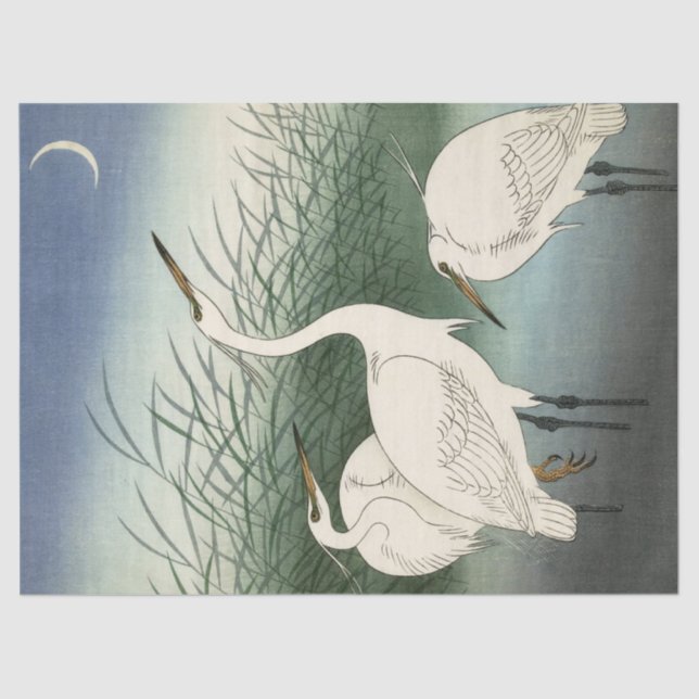 Herons in Shallow Water by Ohara Koson Tissue Paper (Front)