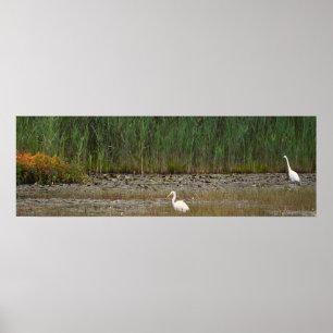 Herons in the Marsh Poster