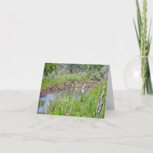 Herons in Tidal Creek OBX Note Card