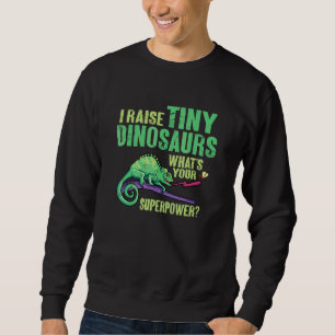 Herpetologist Lizard Reptile Chameleon 1 Sweatshirt