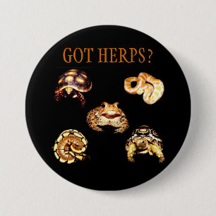 Herps Button
