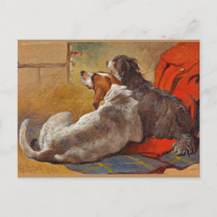 Herring - A Hound and a Bearded Collie,  Postcard