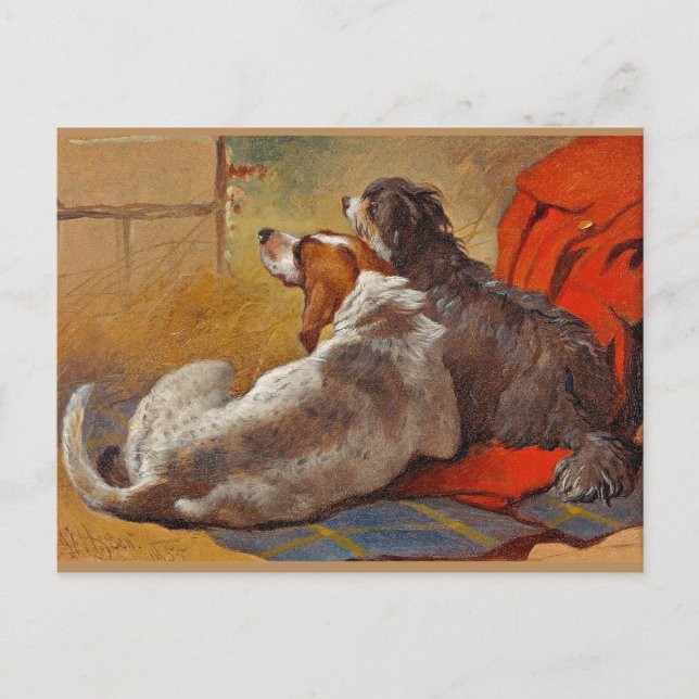 Herring - A Hound and a Bearded Collie,  Postcard (Front)