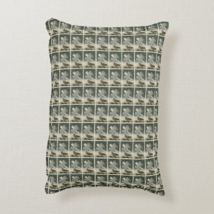 Herring Gull from John Audubon's Birds of America Decorative Cushion