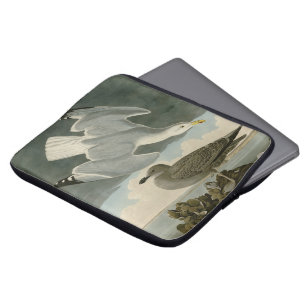 Herring Gull from John Audubon's Birds of America Laptop Sleeve