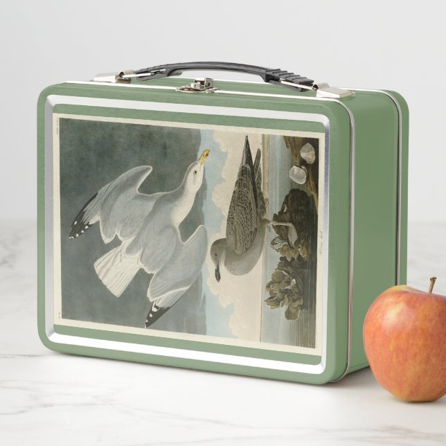 Herring Gull from John Audubon's Birds of America Metal Lunch Box (In Situ)