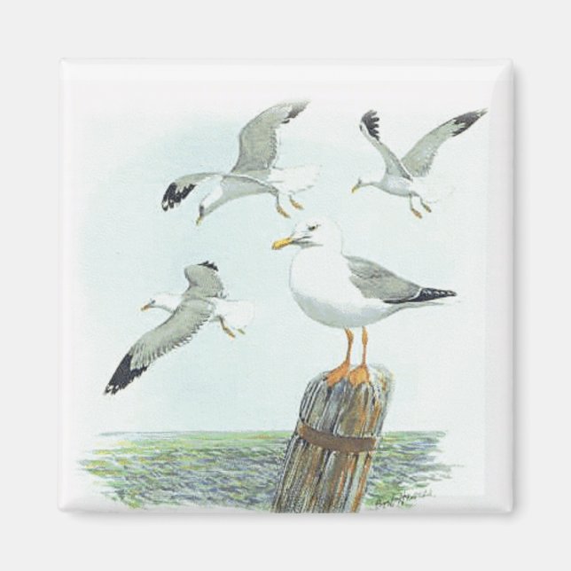 Herring Gull Magnet (Front)