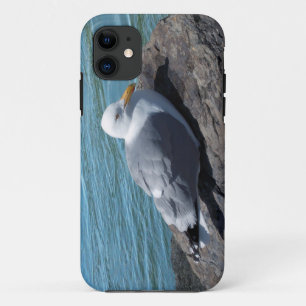 Herring Gull on Rock Jetty iPhone 11 Case