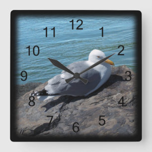 Herring Gull on Rock Jetty Square Wall Clock