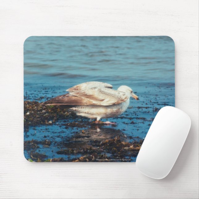 Herring Gull P1046 Mouse Pad (With Mouse)