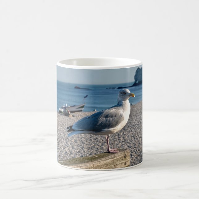 Herring gull perched on a wooden fence    coffee mug (Center)