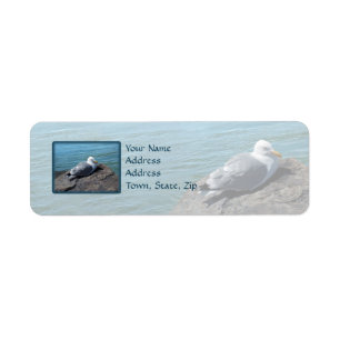 Herring Gull Resting on Rock Jetty: Return Address Label