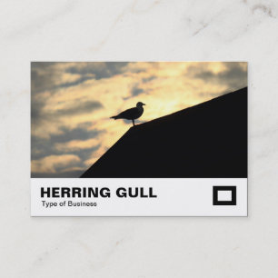 Herring Gull Sunset Business Card