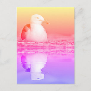 Herring gull with big reflection on water postcard