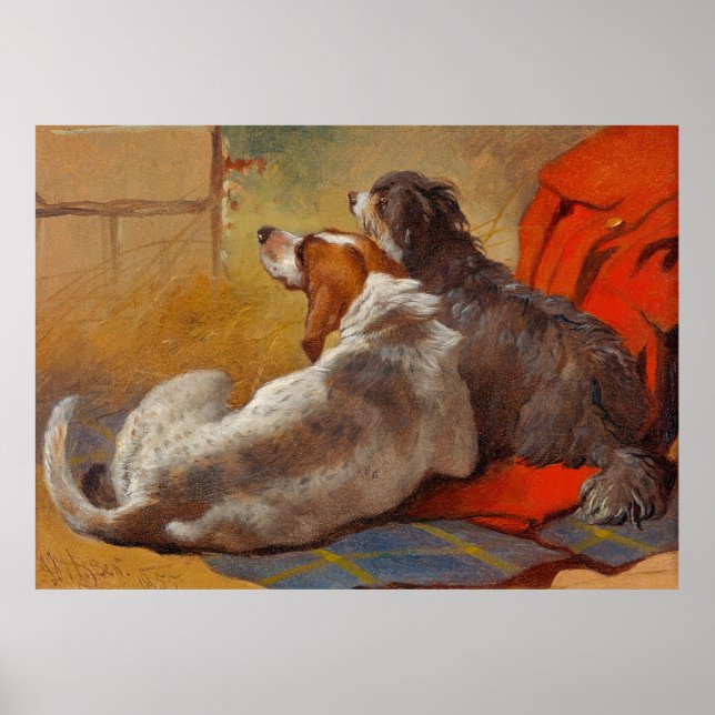 Herring's A Hound and a Bearded Collie Poster (Front)