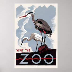 Herron American Bittern Zoo Bird Advertising Poster
