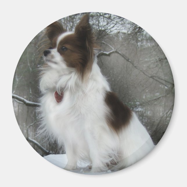 Hershey Kiss Hero Kennel Merchandise Magnet (Front)