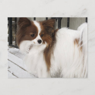 Hershey Kiss Hero Kennel Merchandise Postcard