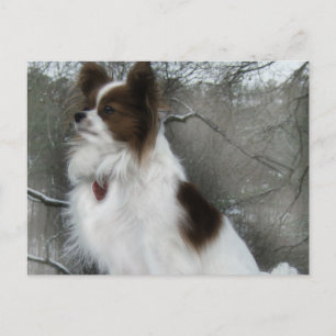 Hershey Kiss Hero Kennel Postcard