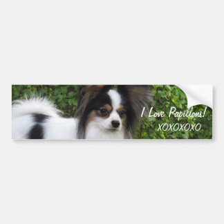 Hershey Kiss Hero Kennel Sticker features Giorgio