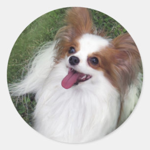 Hershey Kiss Hero Madi Merchandise Classic Round Sticker