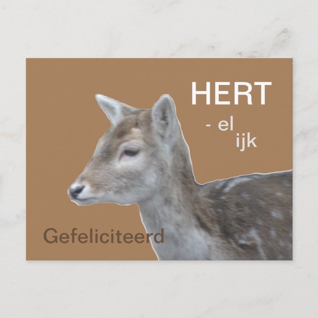 HERTelijk Gefeliciteerd Verjaardags Briefkaart Postcard (Front)