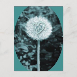 Herz blume heart flower postcard