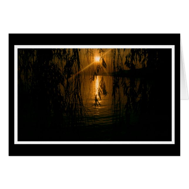 Herzliche Anteilnahme 1 Karte (Front Horizontal)