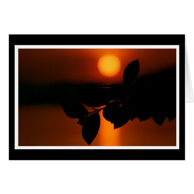 Herzliche Anteilnahme Karte (Front Horizontal)