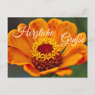 Herzliche Grüße für Deine Liebsten Postcard