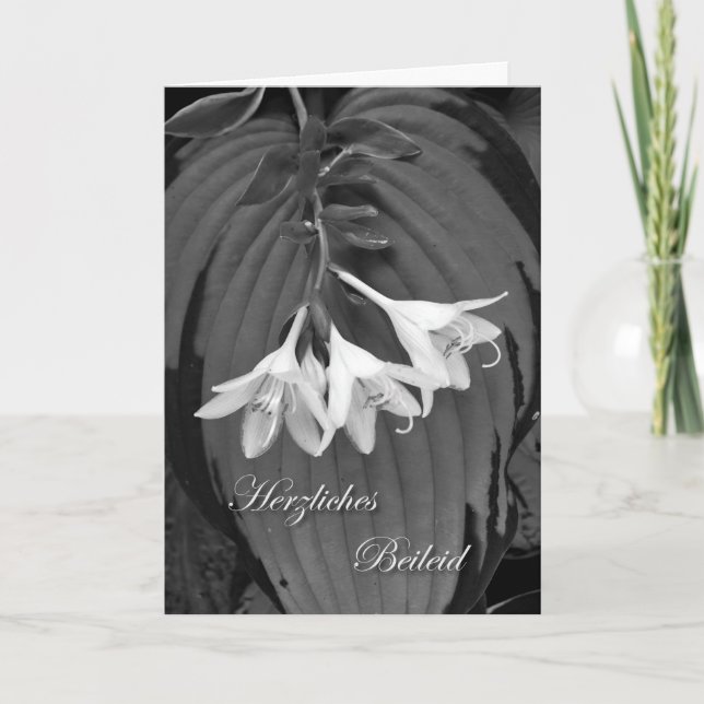Herzliches Beileid, Sympathy in German, Hostas Card (Front)