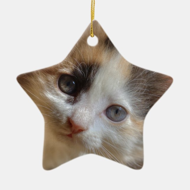 Heterochromia Calico Kitten Ceramic Ornament (Front)