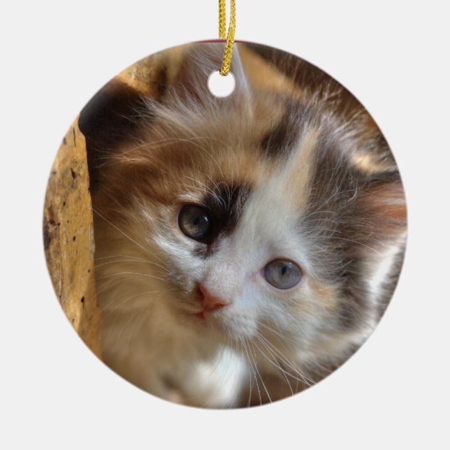 Heterochromia Calico Kitten Ceramic Tree Decoration (Front)