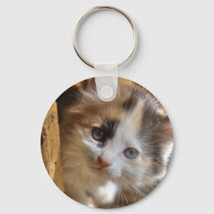 Heterochromia Calico Kitten Key Ring