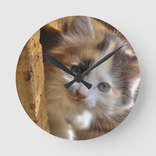 Heterochromia Calico Kitten Round Clock (Front)