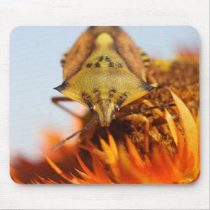Heteroptera Mouse Pad